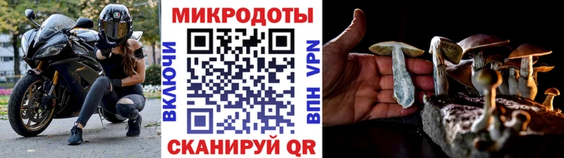 Псилоцибиновые грибы Cubensis  МЕГА маркетплейс  Томилино 